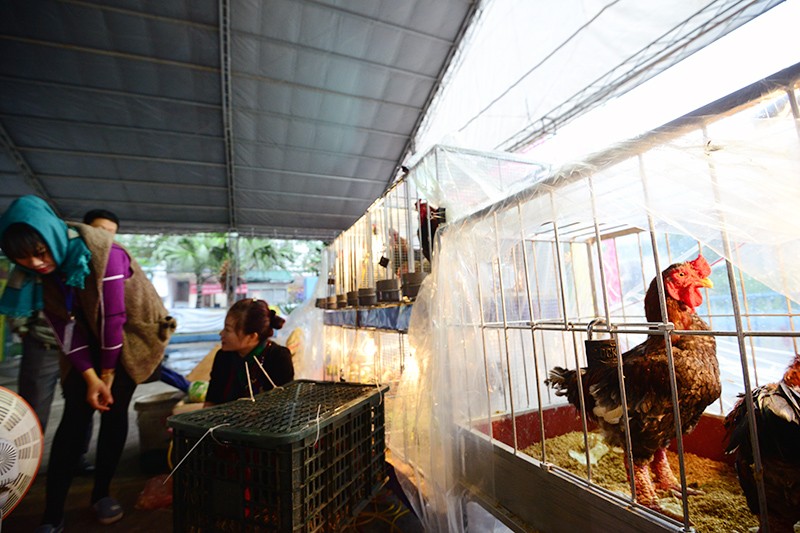 Các loại sản vật "tiến vua" xuất hiện tại Hội chợ Xuân 2016 ảnh 3